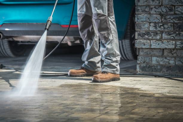 Best Dumpster Area Cleaning  in Minneota, MN
